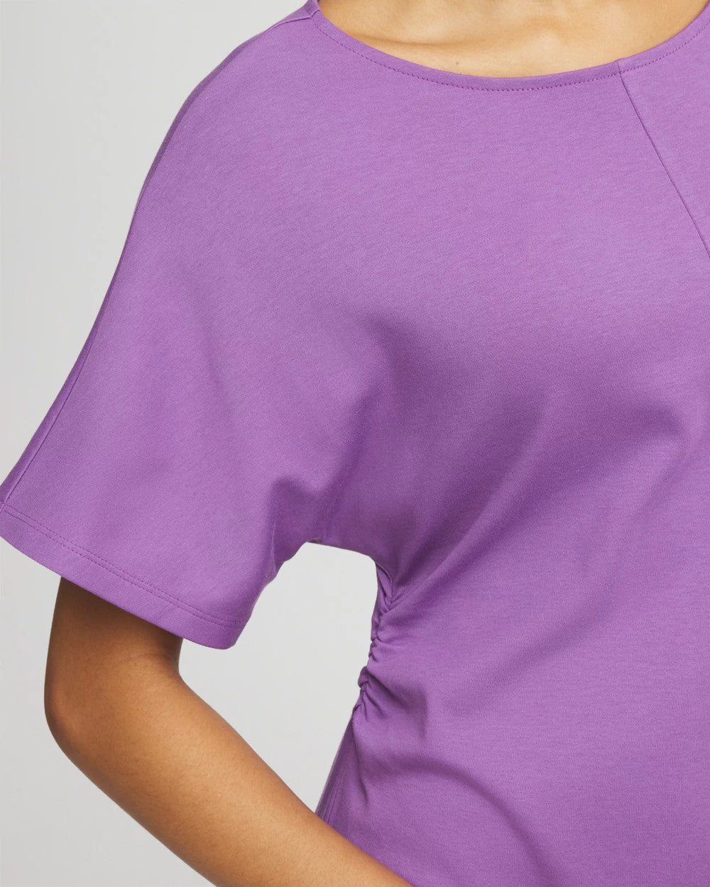 Chico's Fit and Flare Cinched Waist Dress Plum Shade