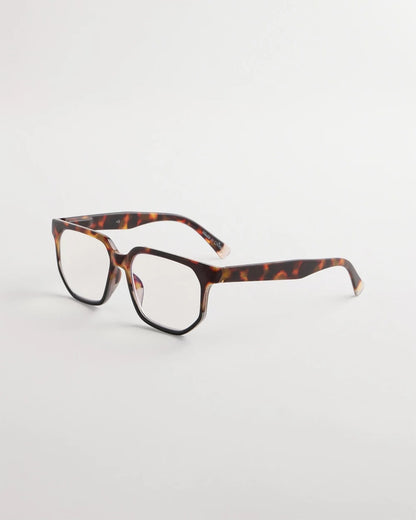 Chico's Tortoise Readers Tort