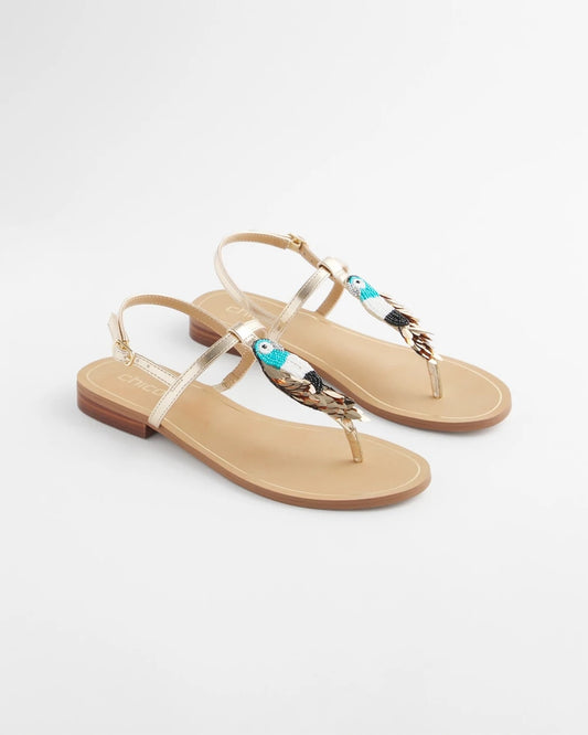 Chico's Beach Parrot T-Strap Sandals Multi